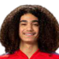 https://img.nixgluten.com/img/football/player/87359ed9061cfd73513d827263deebcd.png